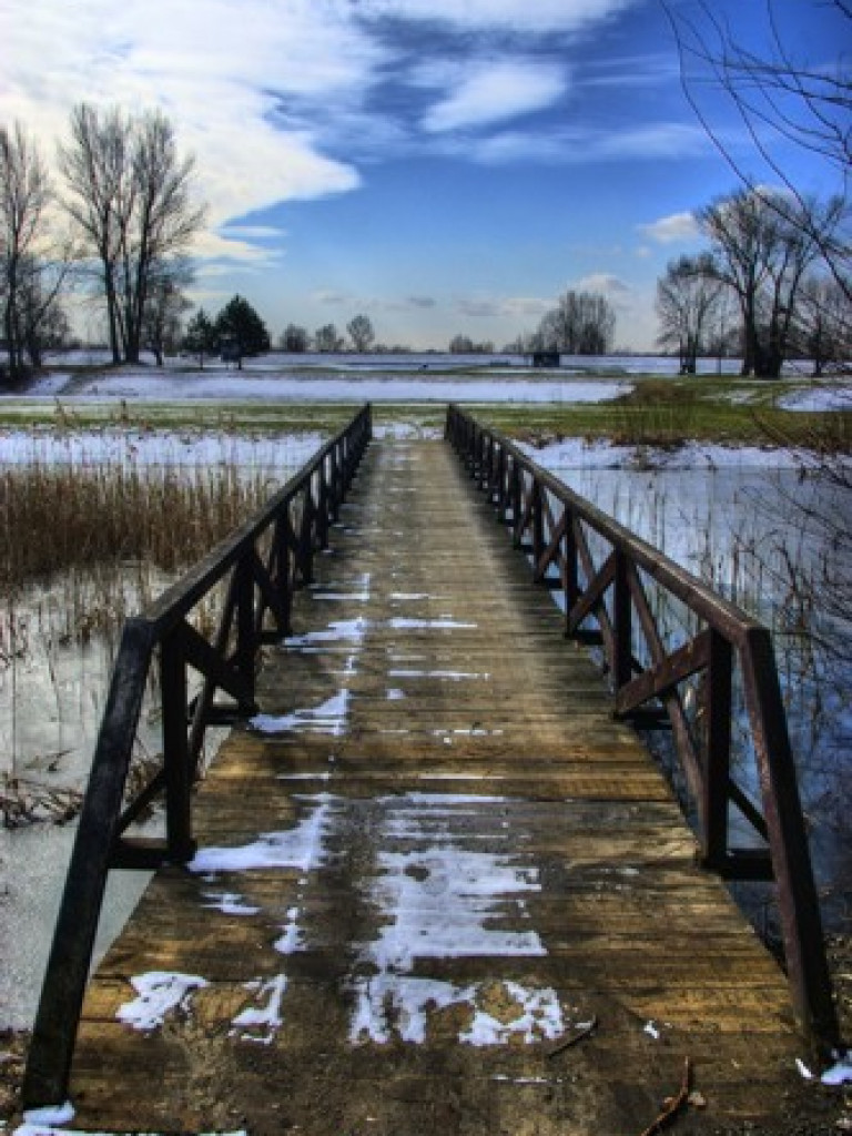 4 pory roku w obiektywie (zima) - galeria najlepszych fotografii
