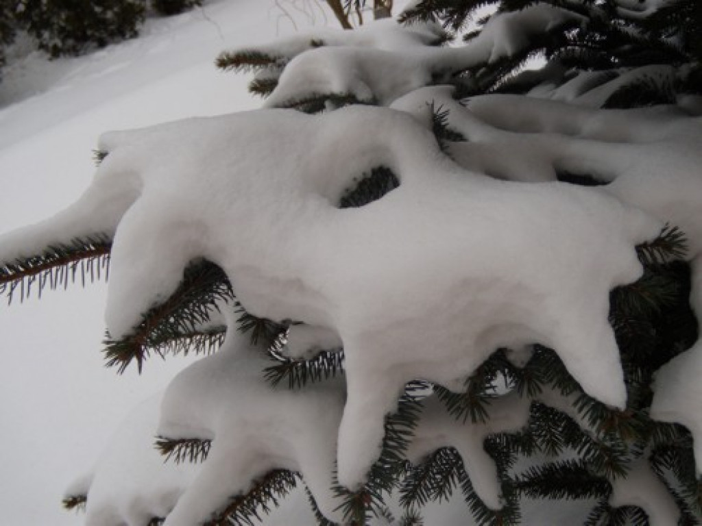 4 pory roku w obiektywie (zima) - galeria najlepszych fotografii