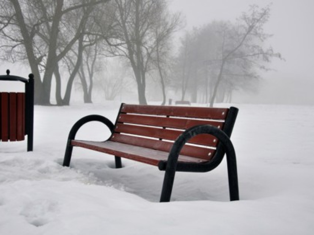 4 pory roku w obiektywie (zima) - galeria najlepszych fotografii