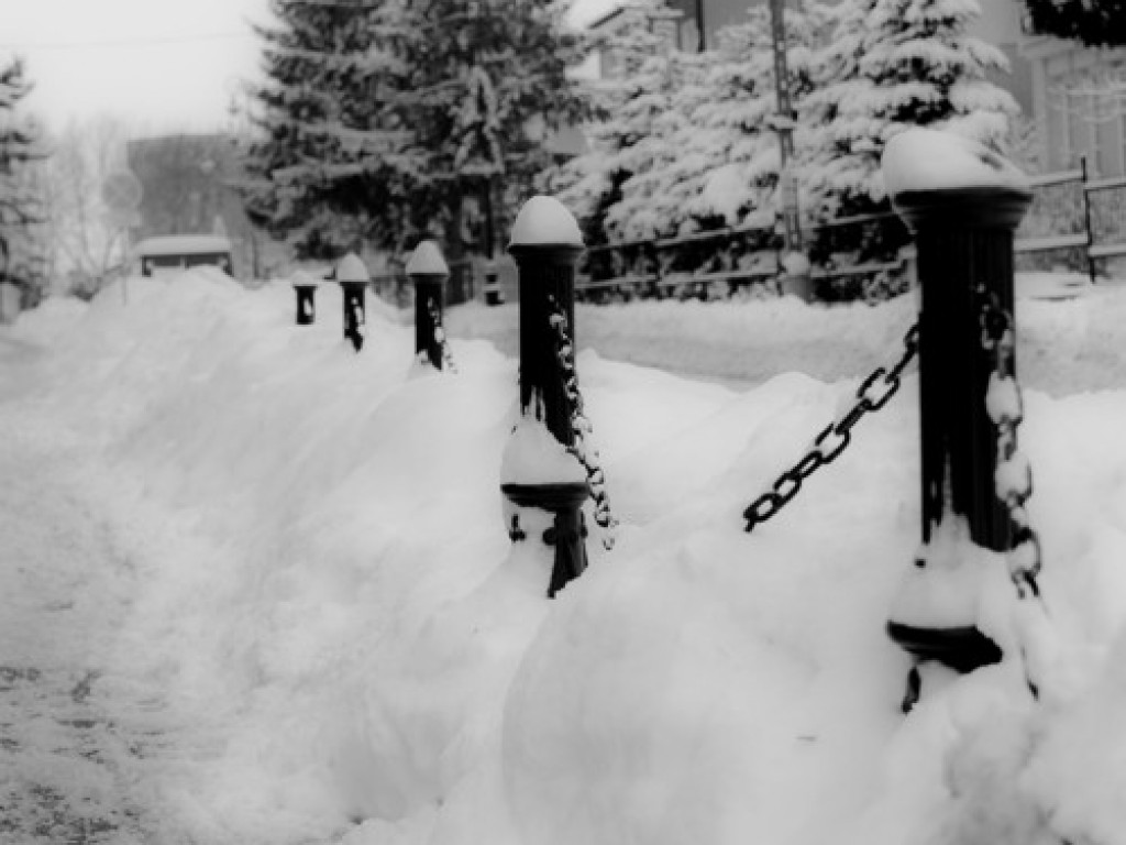 4 pory roku w obiektywie (zima) - galeria najlepszych fotografii