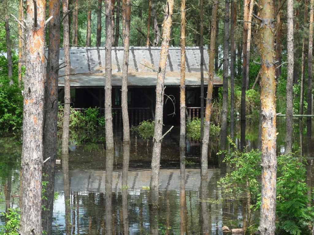 Powódź w Powiecie Legionowskim - Galeria Zdjęć