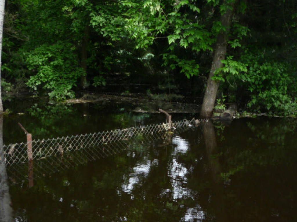 Powódź w Powiecie Legionowskim - Galeria Zdjęć