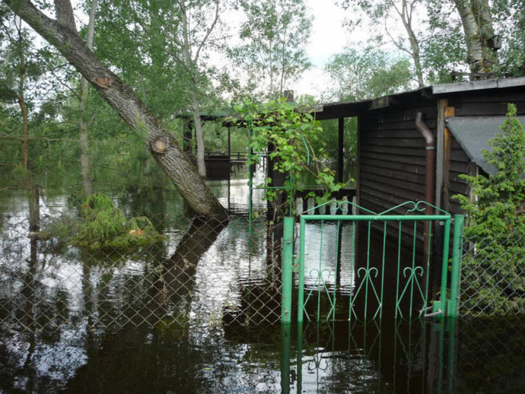 Powódź w Powiecie Legionowskim - Galeria Zdjęć