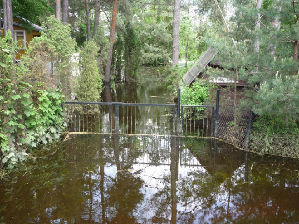 Powódź w Powiecie Legionowskim - Galeria Zdjęć