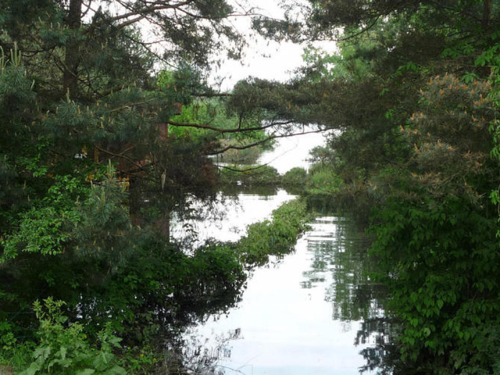 Powódź w Powiecie Legionowskim - Galeria Zdjęć