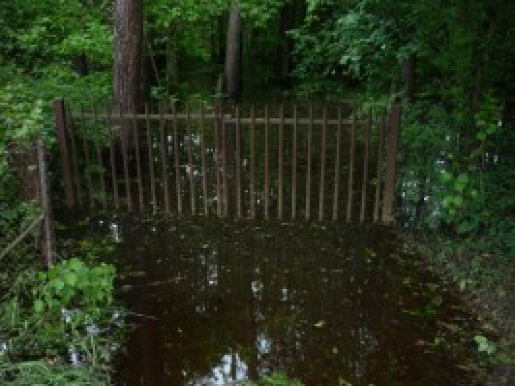 Powódź w Powiecie Legionowskim - Galeria Zdjęć