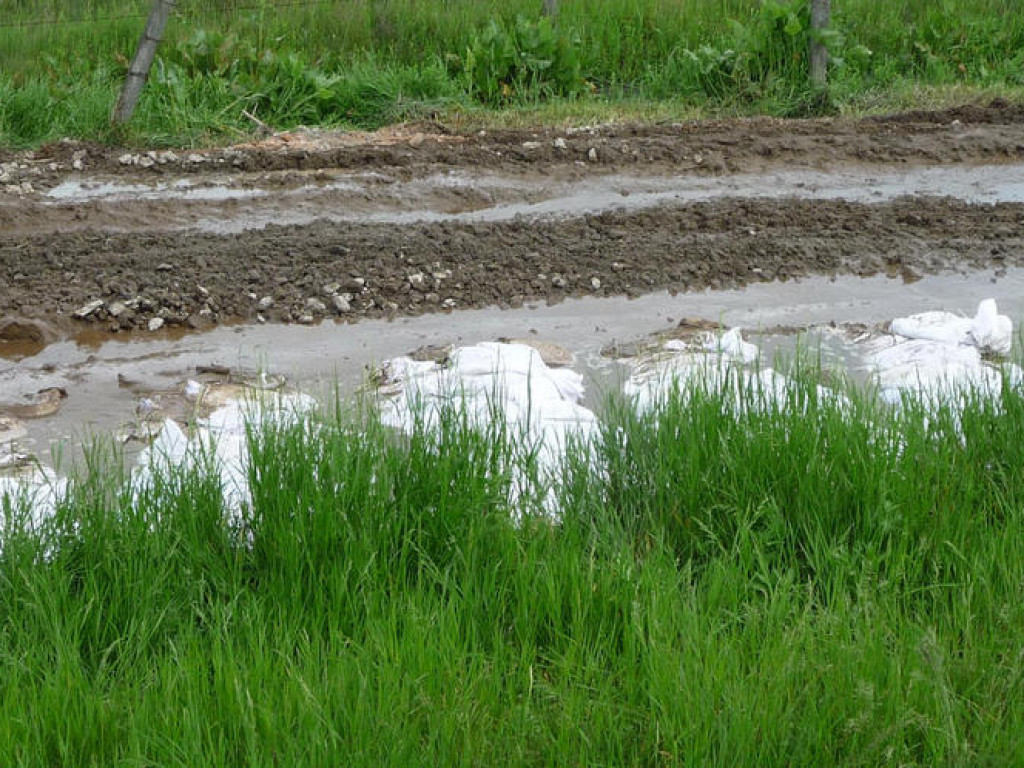 Powódź w Powiecie Legionowskim - Galeria Zdjęć