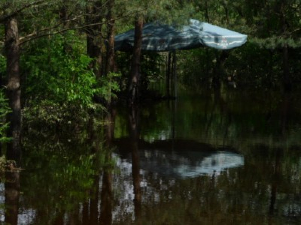 Powódź w Powiecie Legionowskim - Galeria Zdjęć