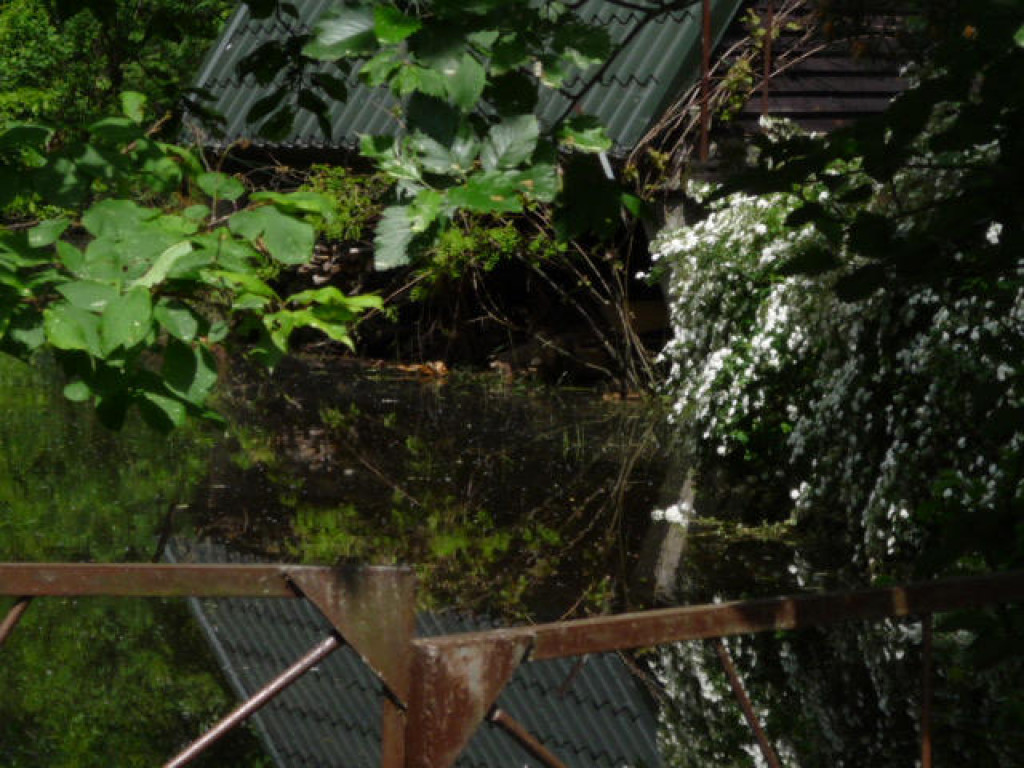 Powódź w Powiecie Legionowskim - Galeria Zdjęć