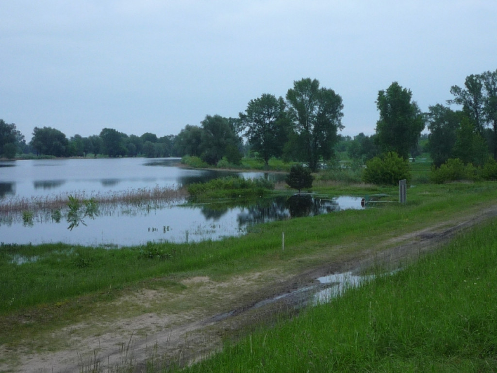 Zalane Pola Golfowe w Rajszewie - Galeria