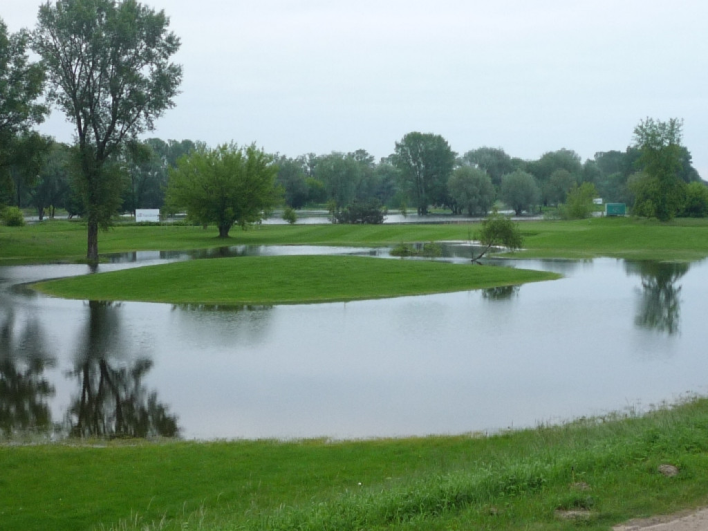 Zalane Pola Golfowe w Rajszewie - Galeria