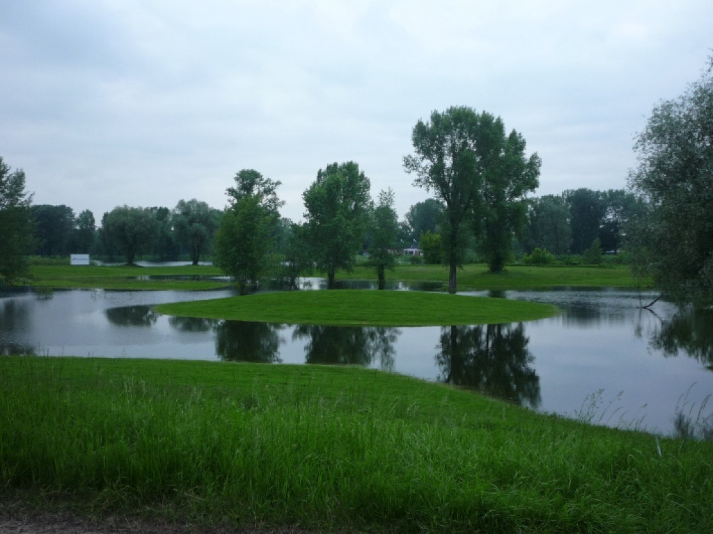 Zalane Pola Golfowe w Rajszewie - Galeria