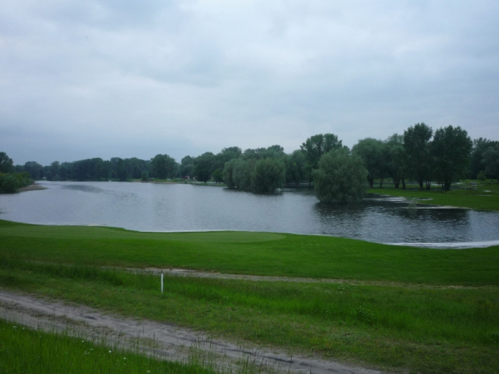 Zalane Pola Golfowe w Rajszewie - Galeria