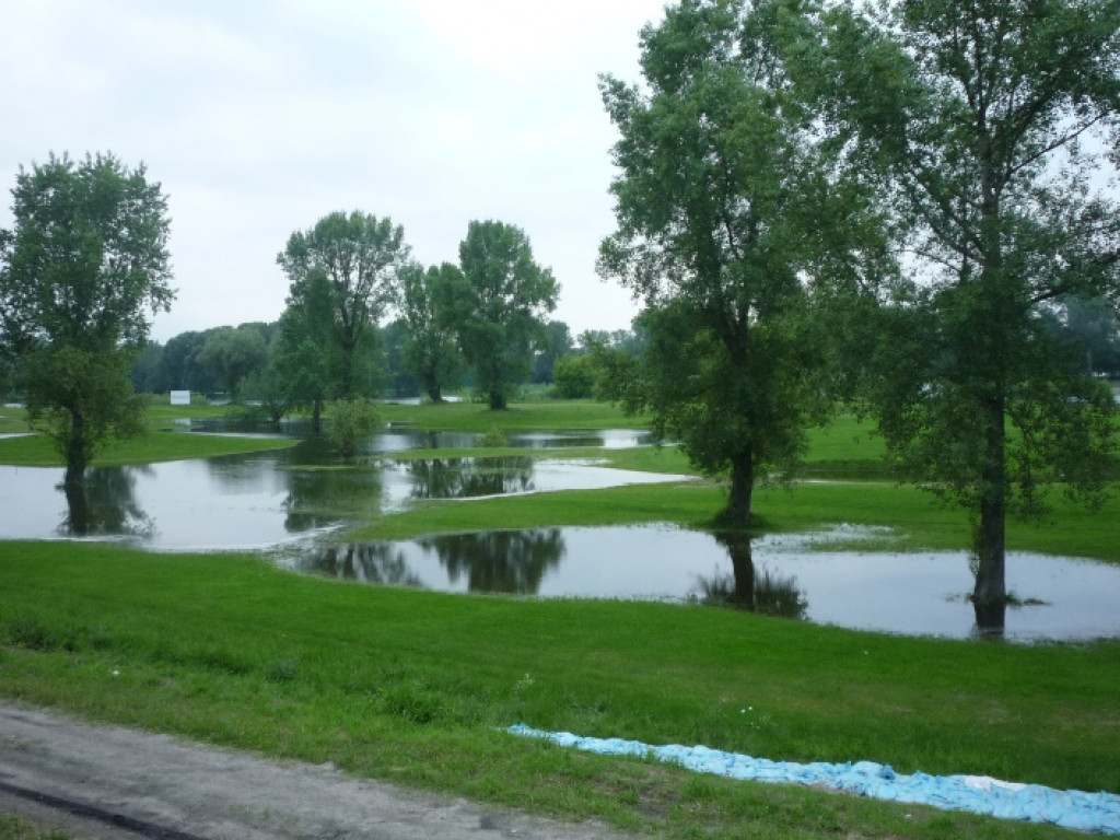 Zalane Pola Golfowe w Rajszewie - Galeria