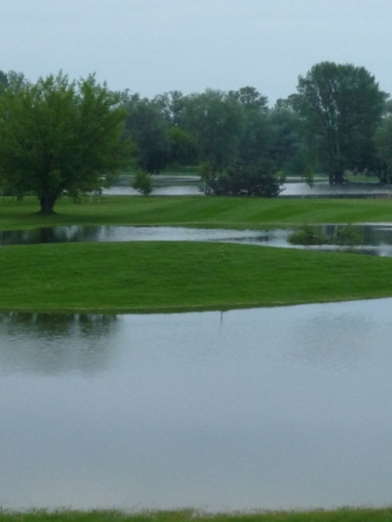 Zalane Pola Golfowe w Rajszewie - Galeria