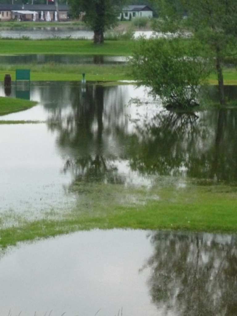 Zalane Pola Golfowe w Rajszewie - Galeria