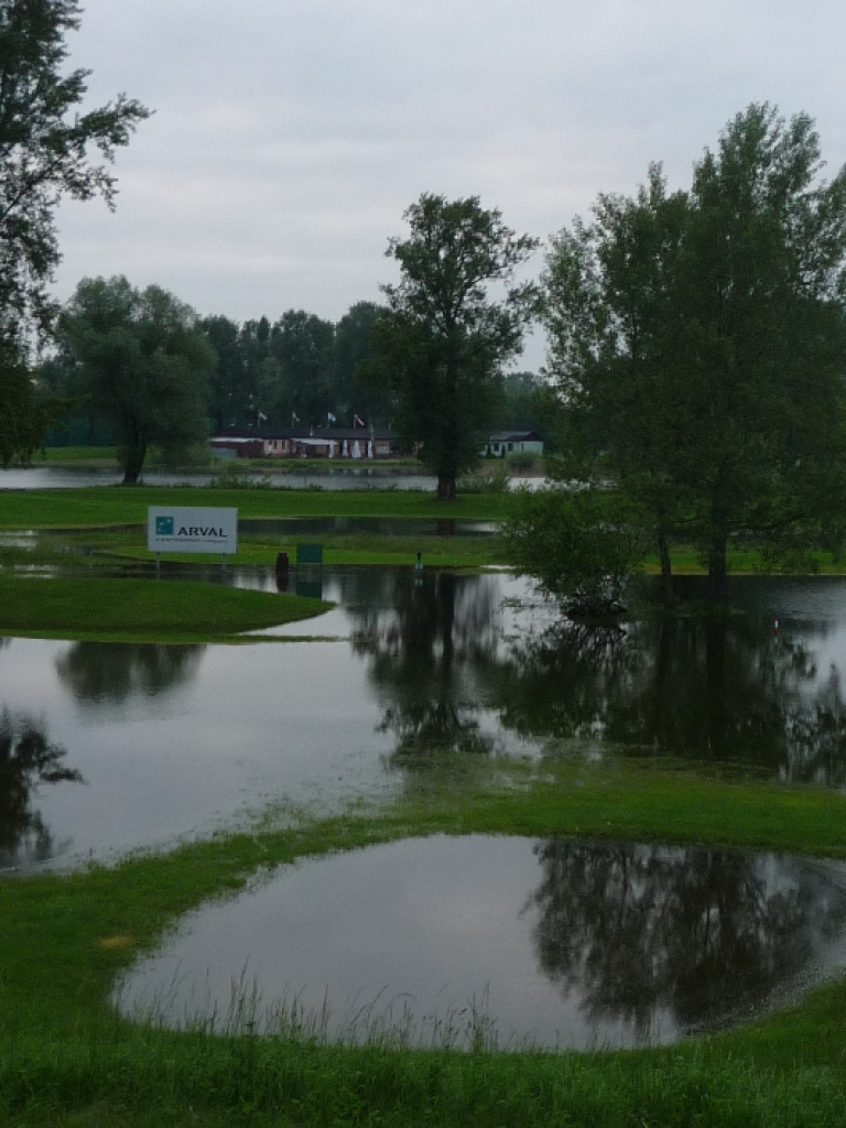 Zalane Pola Golfowe w Rajszewie - Galeria