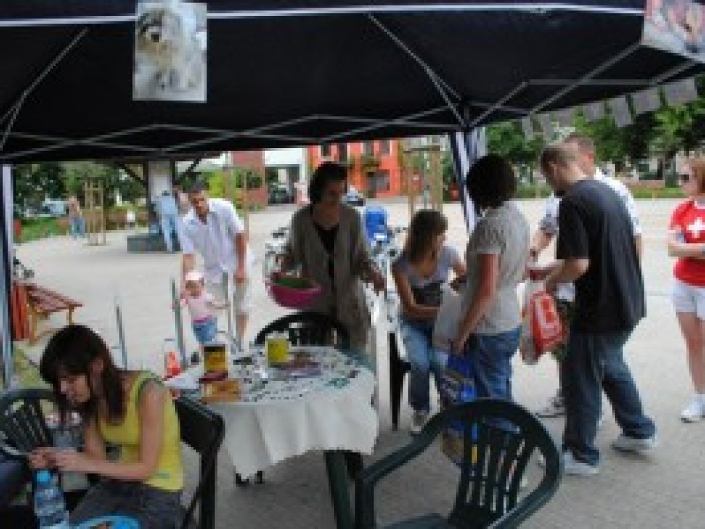 Relacja ze zbiórki na rzecz schroniska w Józefowie.