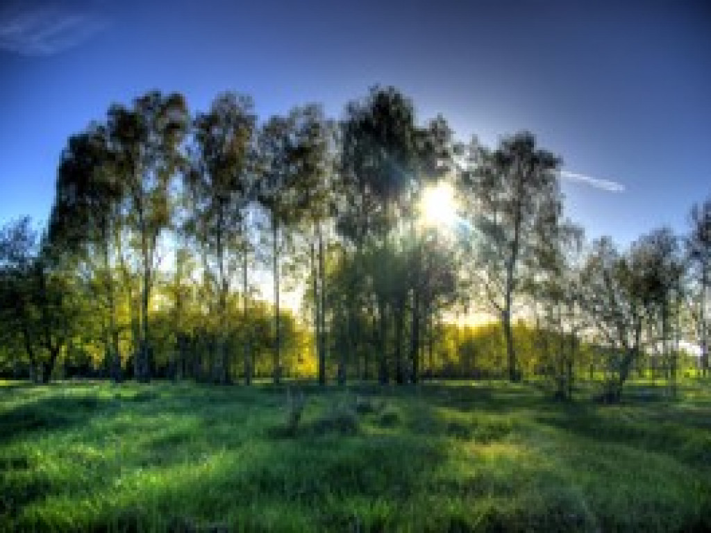 Wyniki wiosennego konkursu fotograficznego 