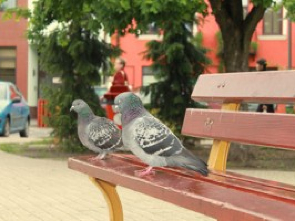 Wyniki wiosennego konkursu fotograficznego 