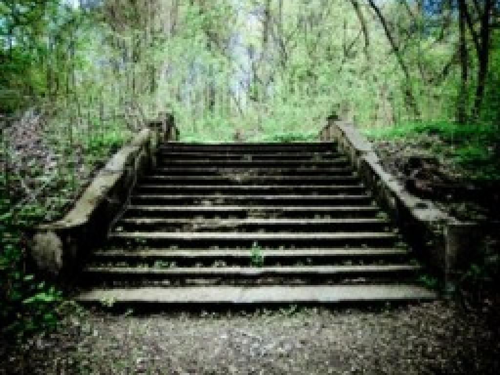 Wyniki wiosennego konkursu fotograficznego 