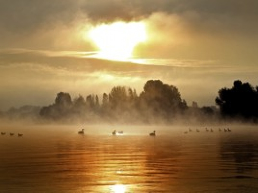 Wyniki wiosennego konkursu fotograficznego 