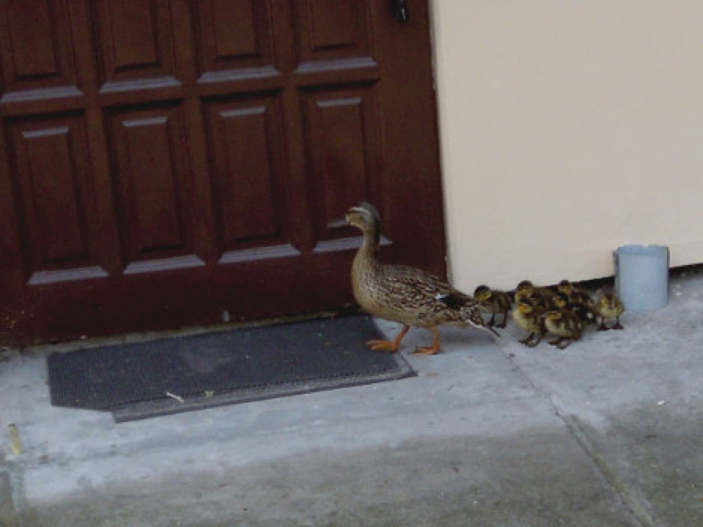 Niecodzienna wizyta w Zakroczymiu