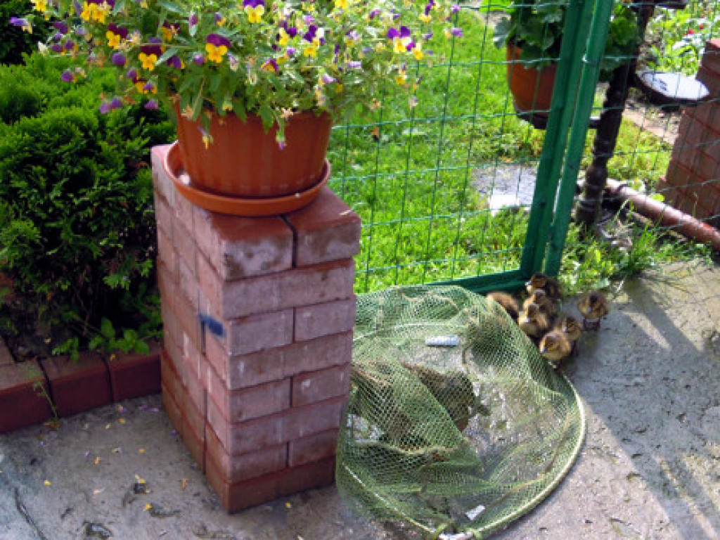 Niecodzienna wizyta w Zakroczymiu