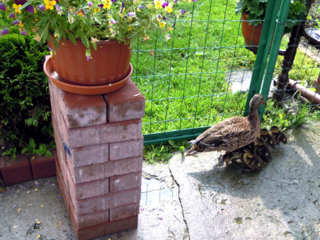 Niecodzienna wizyta w Zakroczymiu