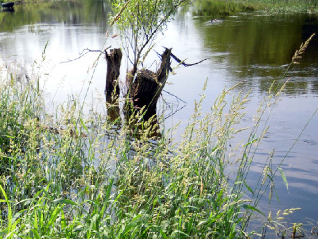 Niecodzienna wizyta w Zakroczymiu