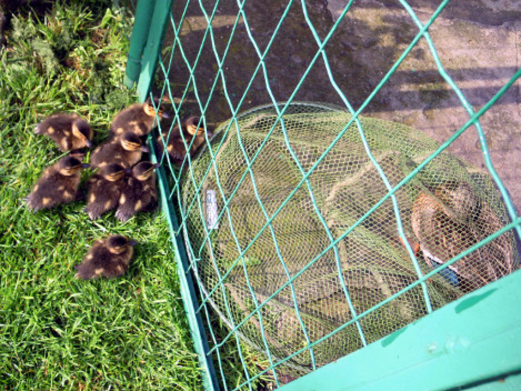 Niecodzienna wizyta w Zakroczymiu