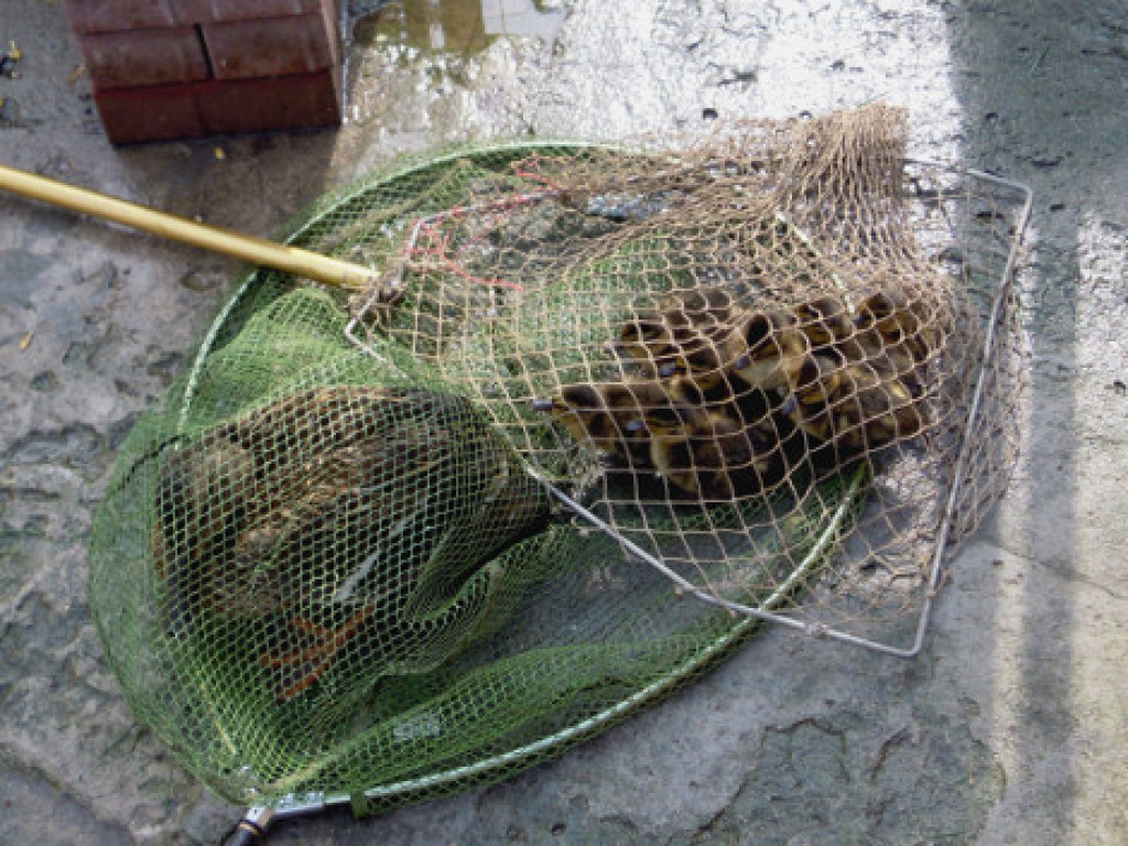 Niecodzienna wizyta w Zakroczymiu