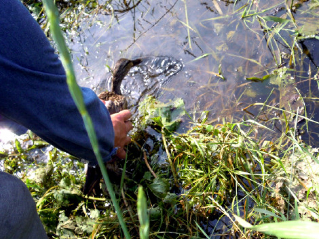 Niecodzienna wizyta w Zakroczymiu