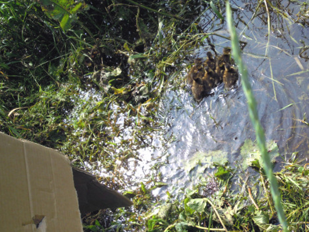 Niecodzienna wizyta w Zakroczymiu