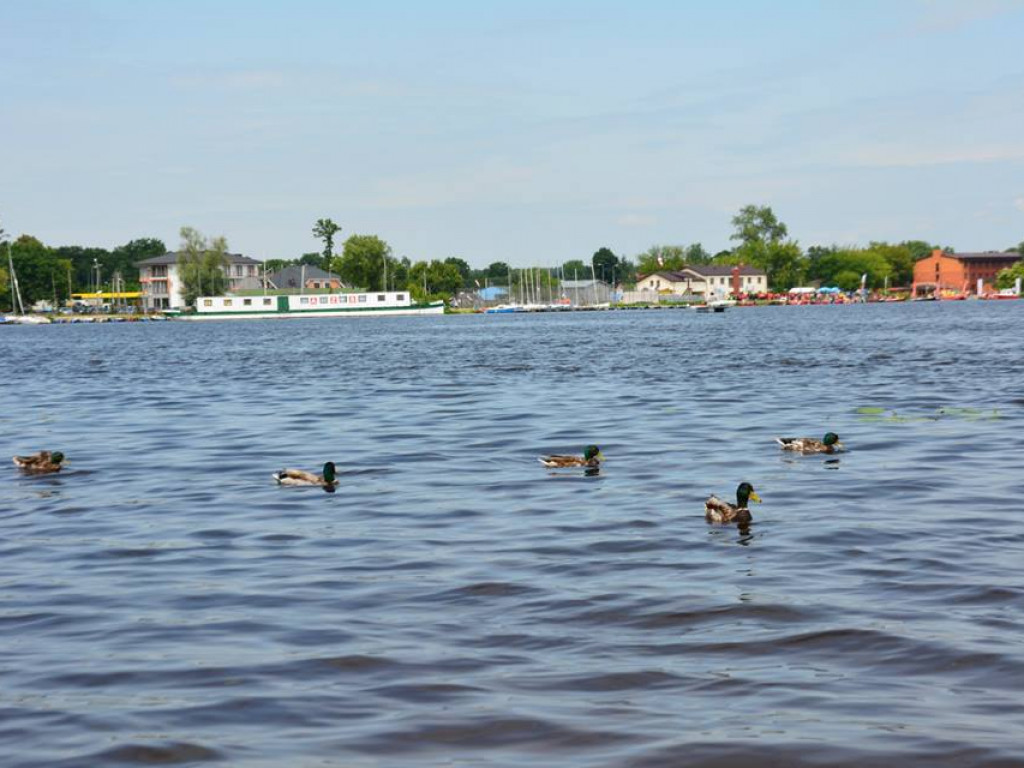 Samolot awaryjnie wodował na Jeziorze Zegrzyńskim