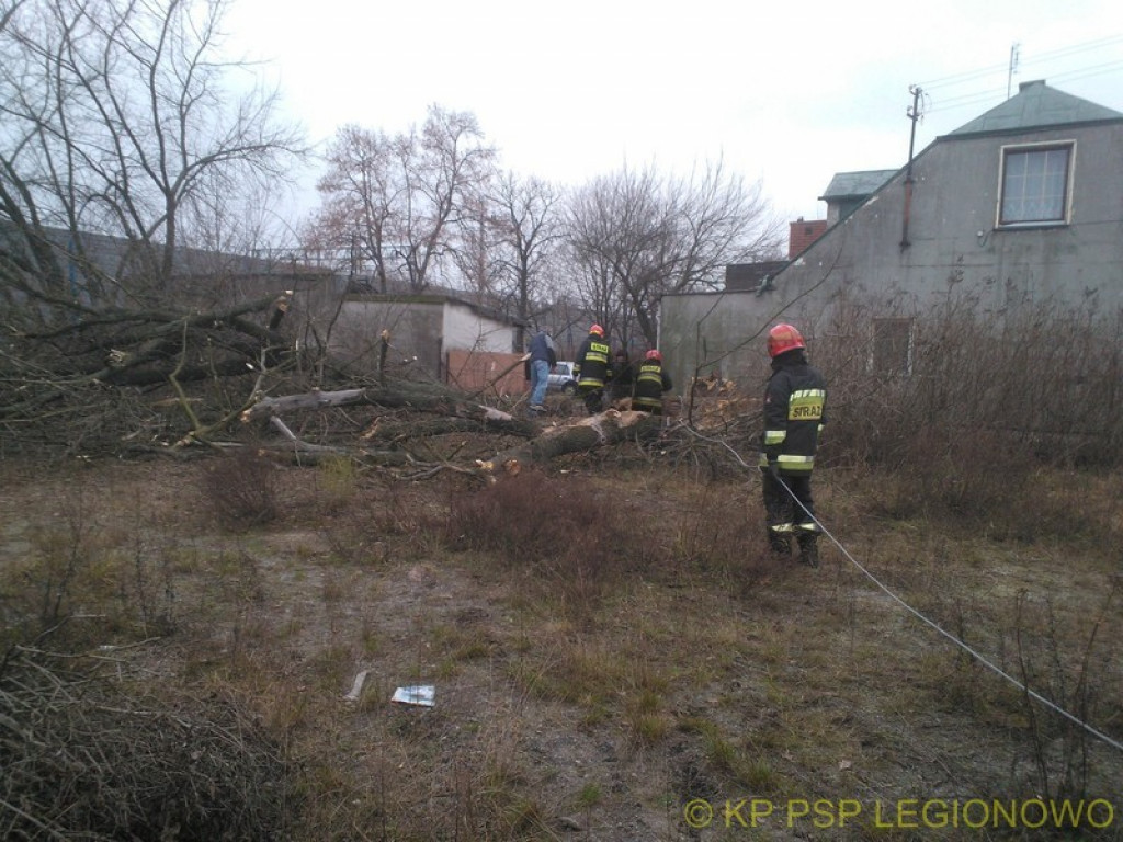 Legionowski: Pracowita doba strażaków
