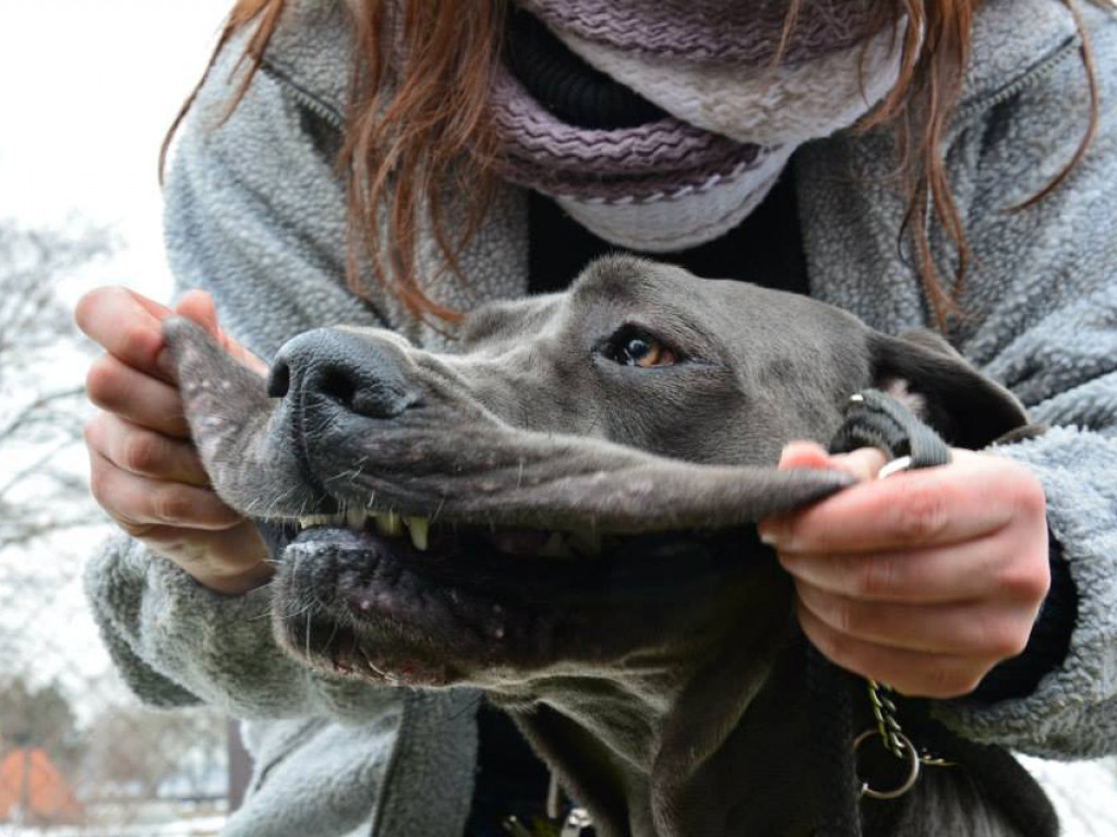 Walentynki z WOPR na Zalewie Zegrzyńskim