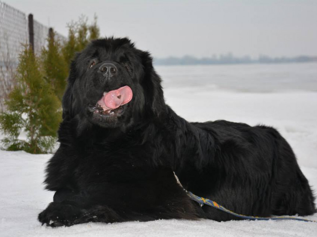 Walentynki z WOPR na Zalewie Zegrzyńskim