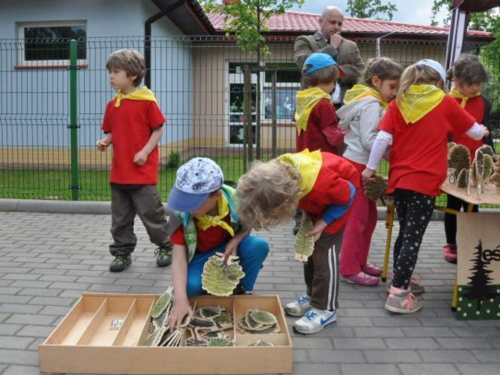 Zdrowy przedszkolak pod znakiem Wyderki