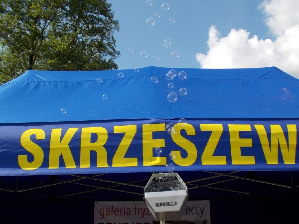 Pierwszy Skrzeszewski Piknik z okazji Dnia Dziecka (galeria)