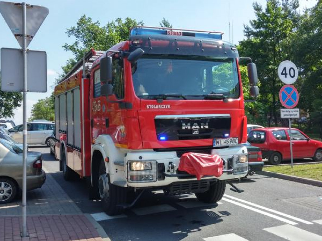 Legionowo: Dzik przy ratuszu. Część Parku Solidarności zamknięta