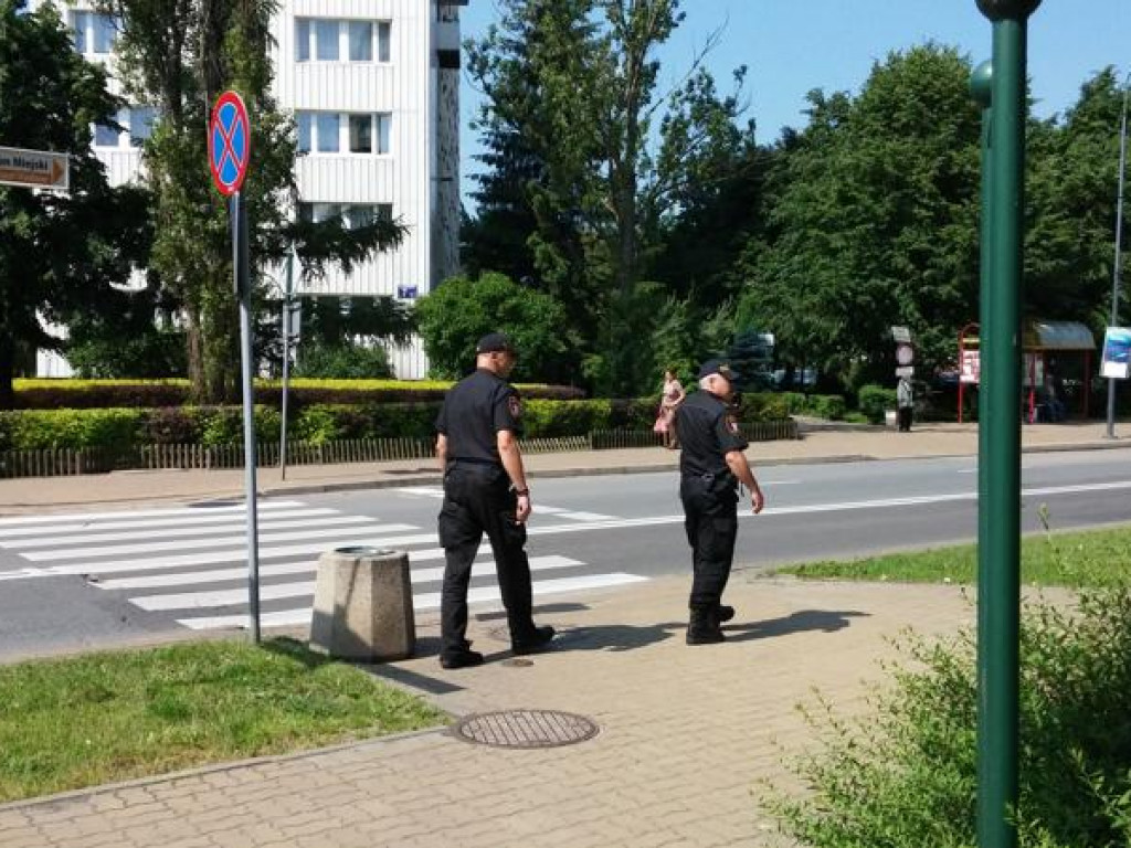 Legionowo: Dzik przy ratuszu. Część Parku Solidarności zamknięta