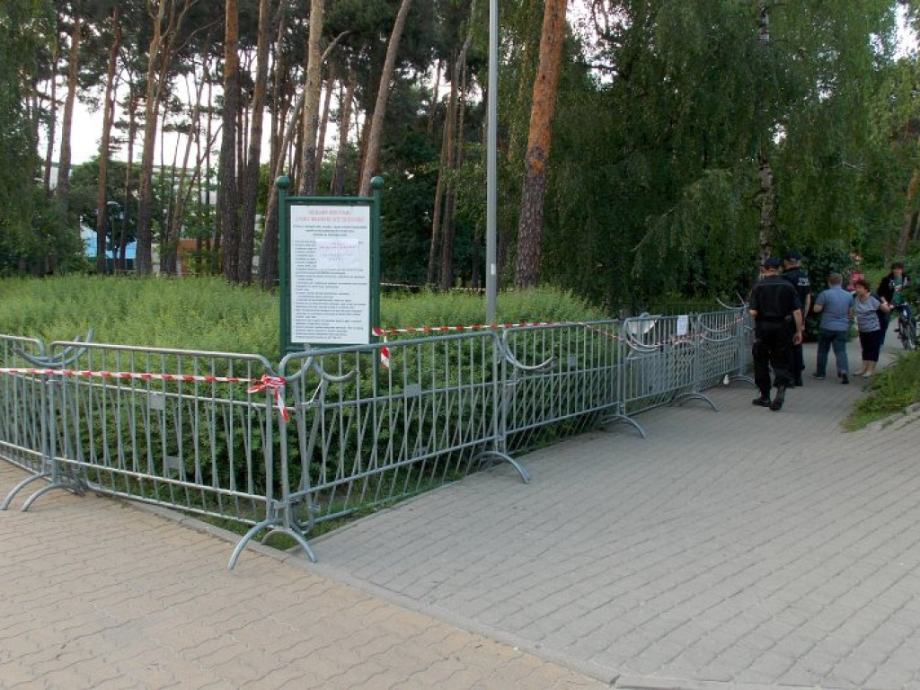 Legionowo: Dzik uciekł z Parku Solidarności. Skrył się przy Sobieskiego