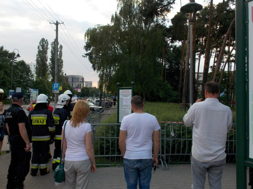 Legionowo: Dzik uciekł z Parku Solidarności. Skrył się przy Sobieskiego