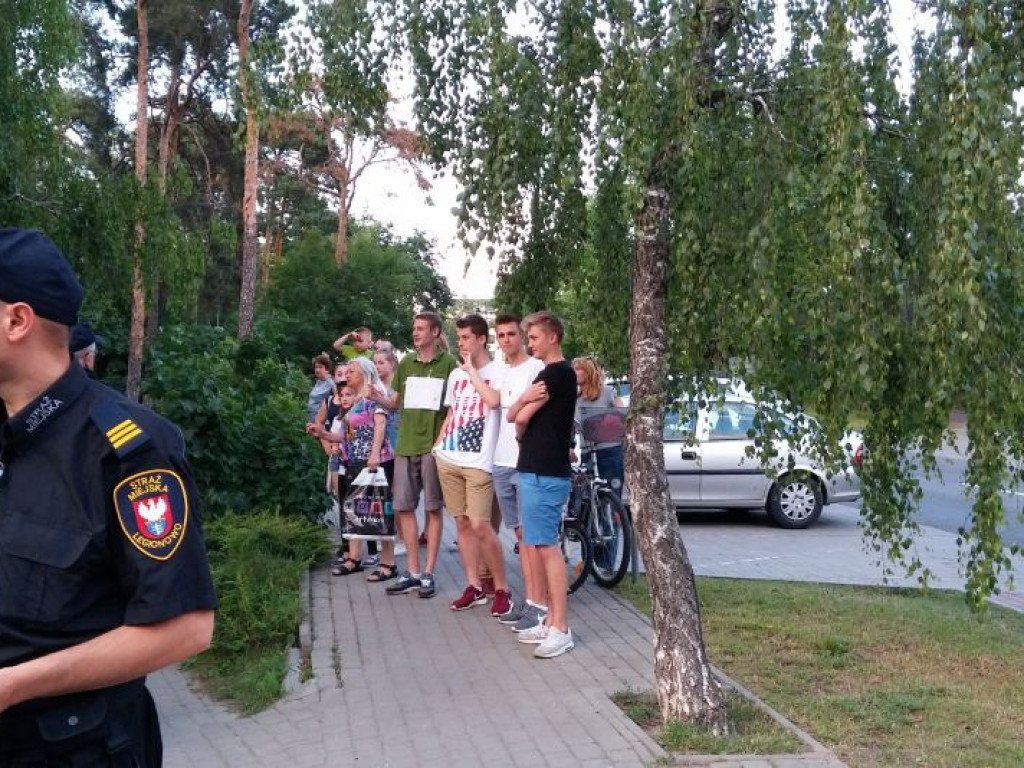 Legionowo: Dzik uciekł z Parku Solidarności. Skrył się przy Sobieskiego