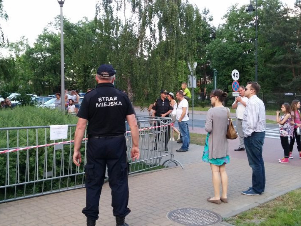Legionowo: Dzik uciekł z Parku Solidarności. Skrył się przy Sobieskiego