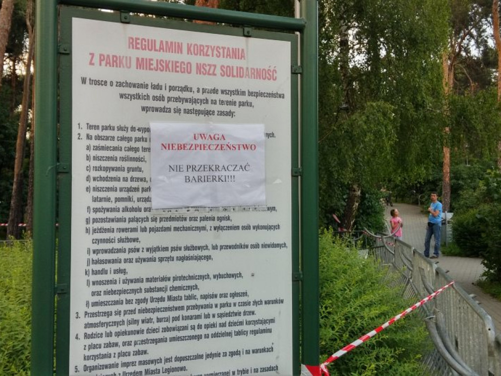 Legionowo: Dzik uciekł z Parku Solidarności. Skrył się przy Sobieskiego