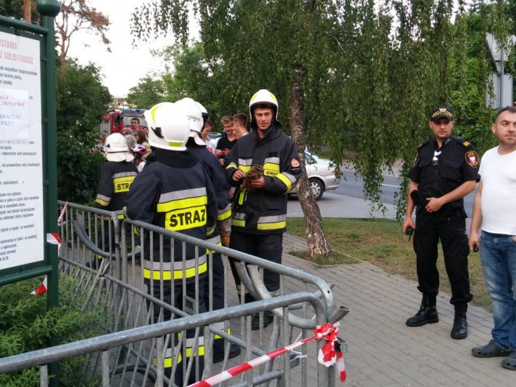 Legionowo: Dzik uciekł z Parku Solidarności. Skrył się przy Sobieskiego