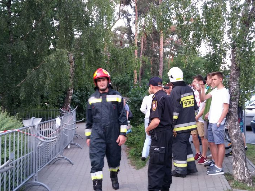 Legionowo: Dzik uciekł z Parku Solidarności. Skrył się przy Sobieskiego