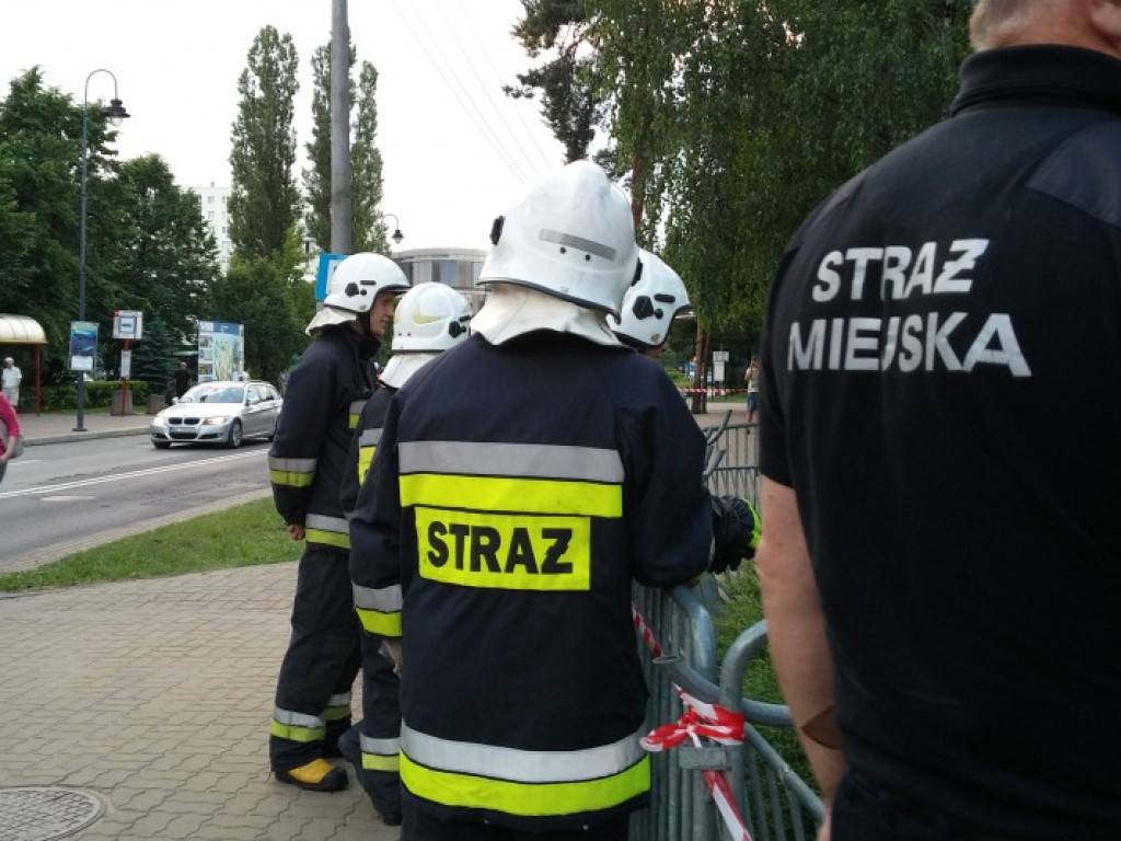 Legionowo: Dzik uciekł z Parku Solidarności. Skrył się przy Sobieskiego